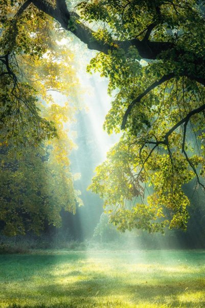 Лучи солнца