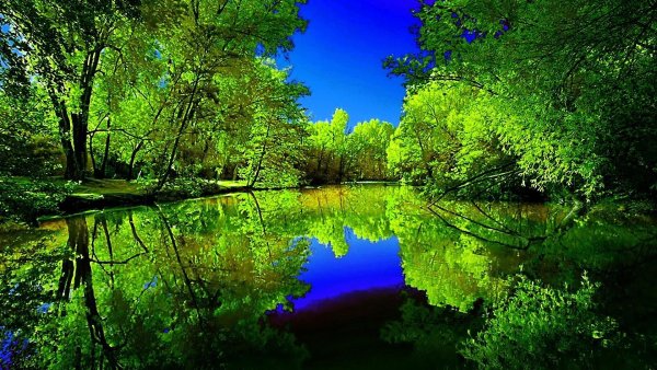 Природа лес вода