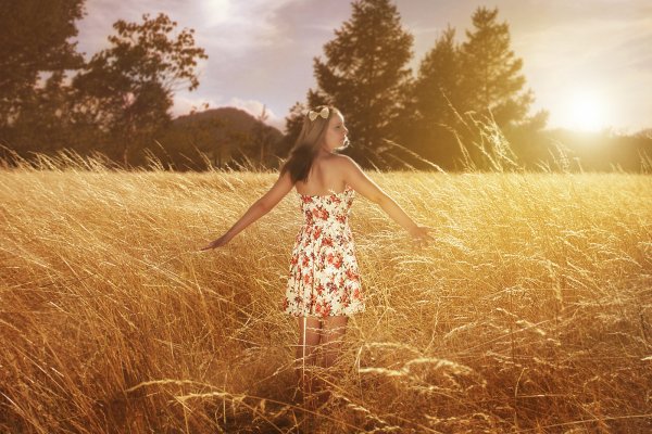 Фотосет в пшеничном поле