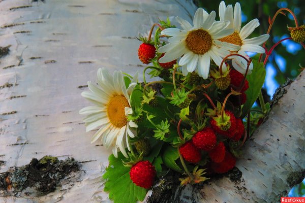 Земляника с полевыми цветами