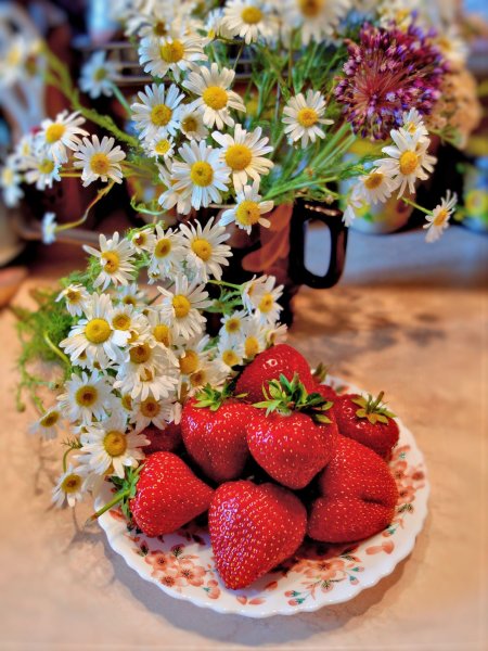 Букет земляники и ромашек