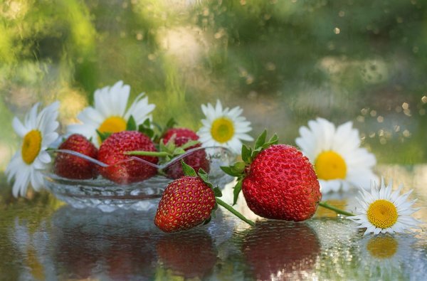 Клубника натюрморт лето