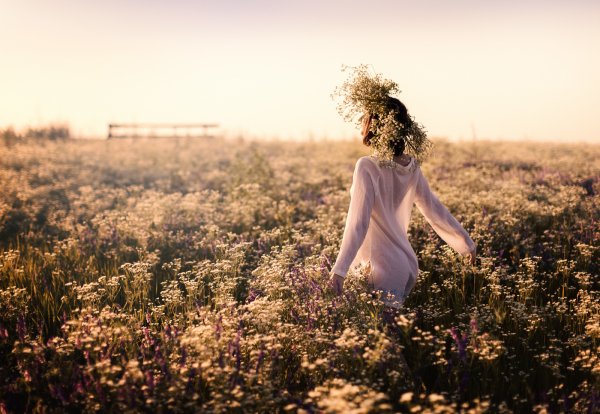 Саммер Филдс