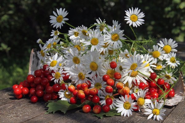 Букет земляники и ромашек