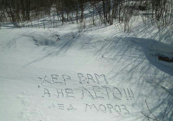 Грустный рыжий кот