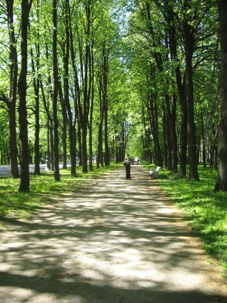 Красивый парк