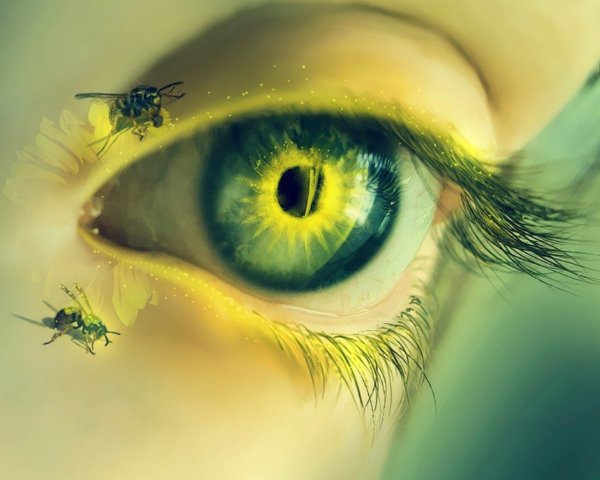 Зелёные глаза