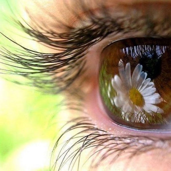 Красота в глазах