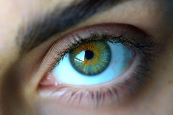 Голубо желтые глаза фото