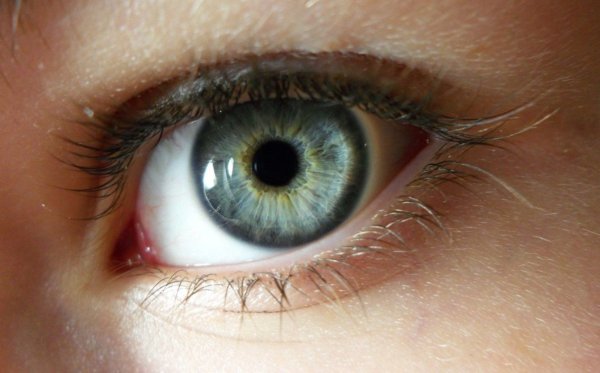 Обычный человеческий глаз