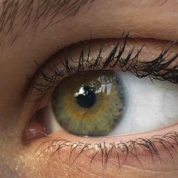 Хейзел цвет глаз