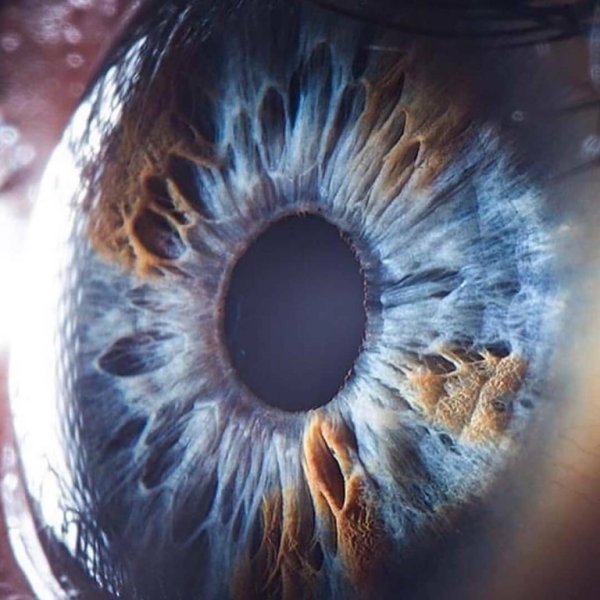 Сурен Манвелян глаза