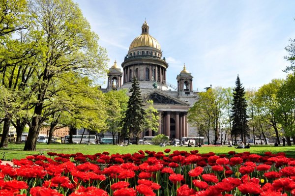 Исаакиевский собор Санкт-Петербург в сирени
