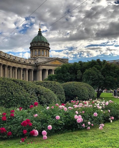 Летнее утро в Петербурге