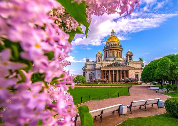Петергоф (дворцово-парковый ансамбль)