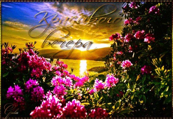 Прекрасного летнего вечера