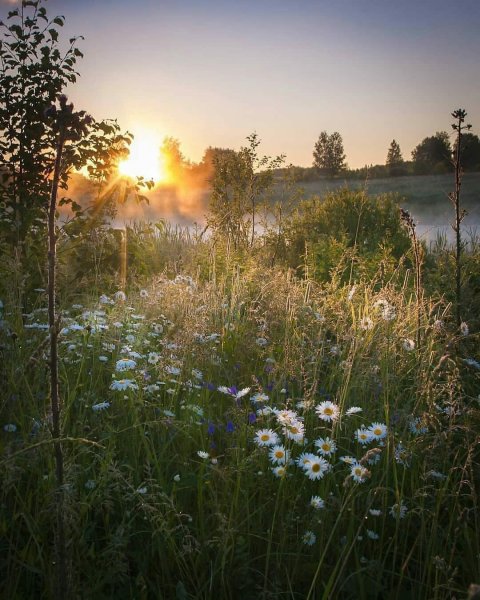 Красивого летнего вечера