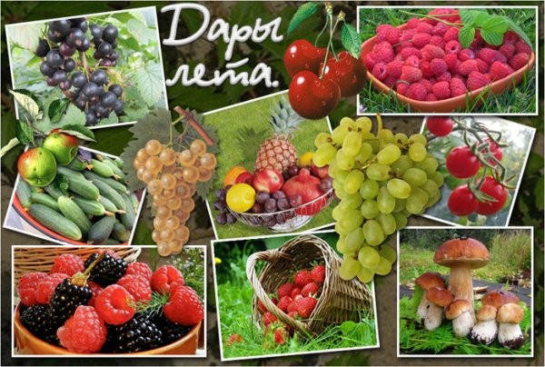 Дары лета стихи