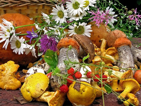 Осенние дары природы