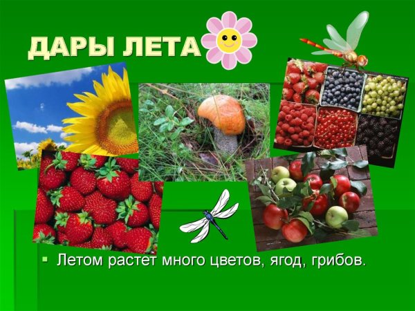 Растения летом презентация