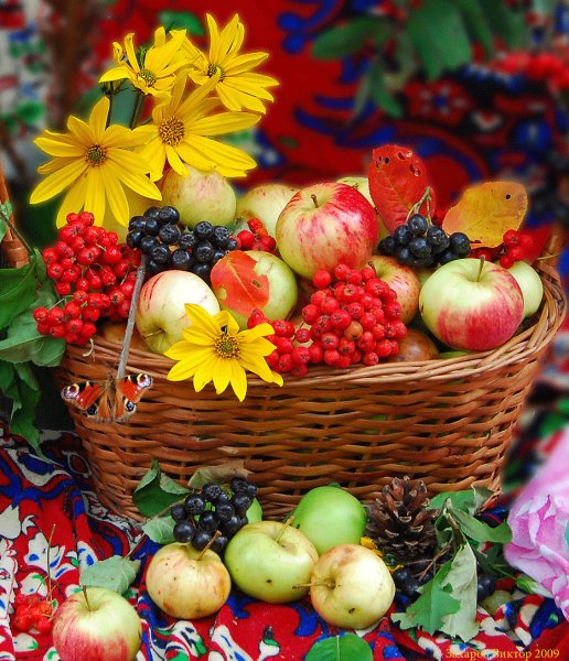 Осень фрукты