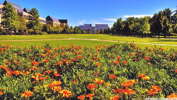 Тропинка в городе