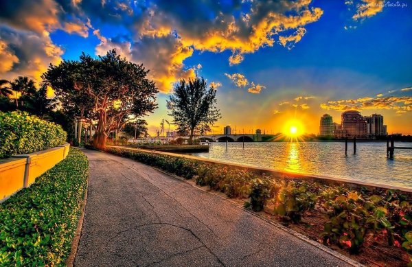 Город в зелени