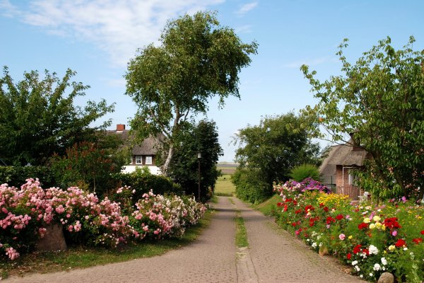 Церковь на берегу реки г Вологда