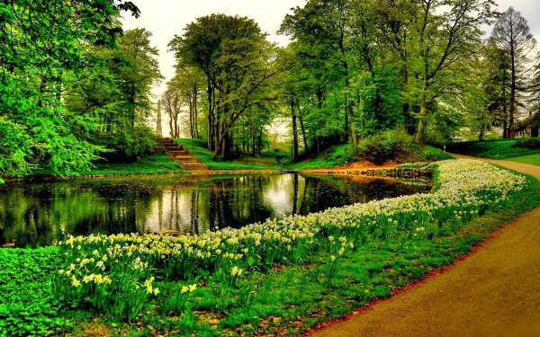 Солнечный день