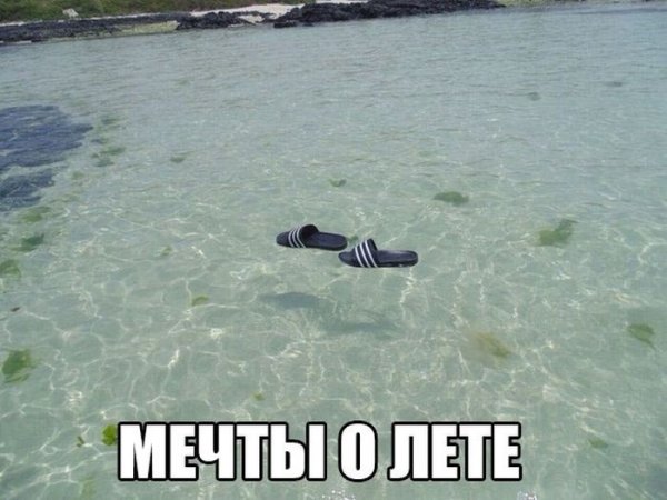 Приколы про похудение к лету