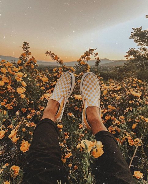 Красивые картинки Эстетика