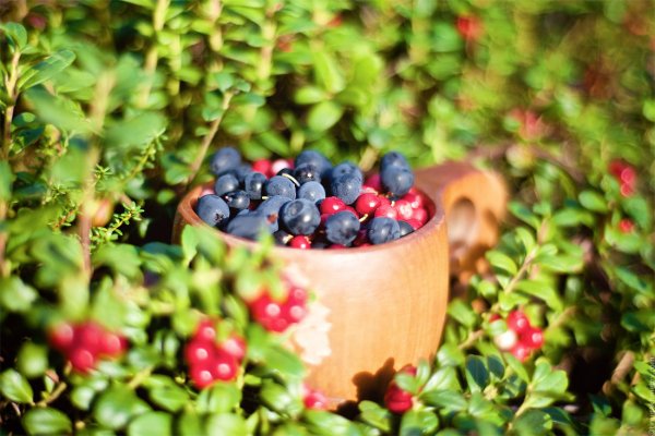 Ягоды в деревне