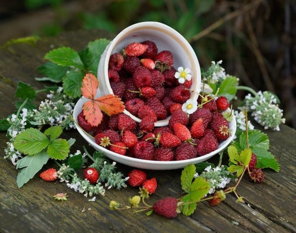 Клубника в корзинке