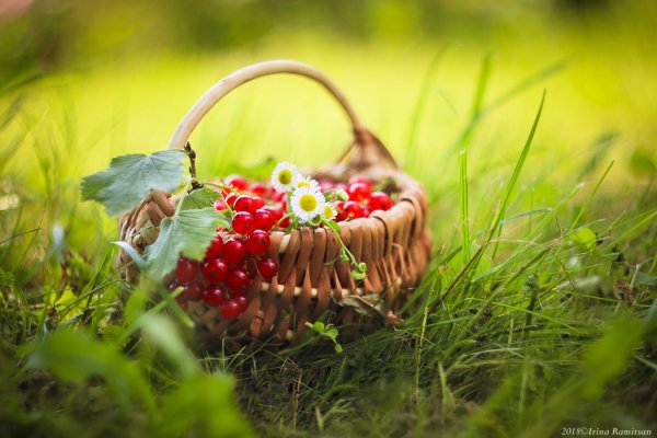 Букет земляники