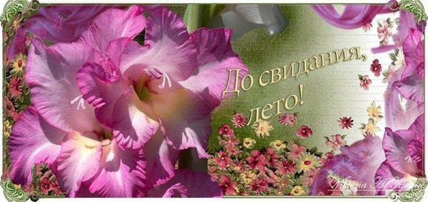 Открытки до свидания лето