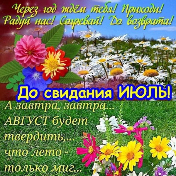 До свидания июль