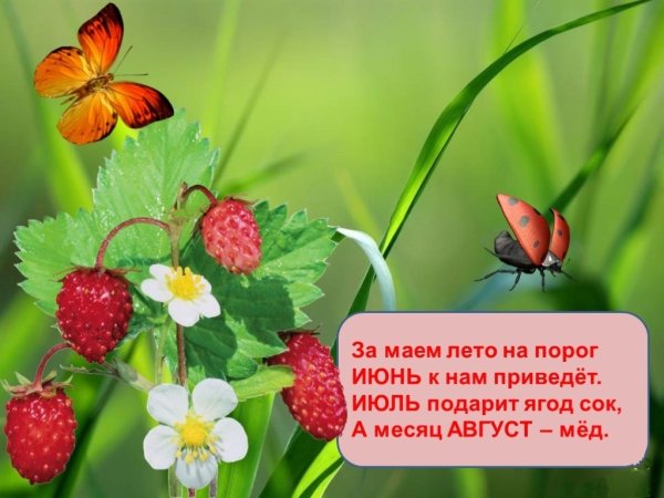 Стихи про июль красивые