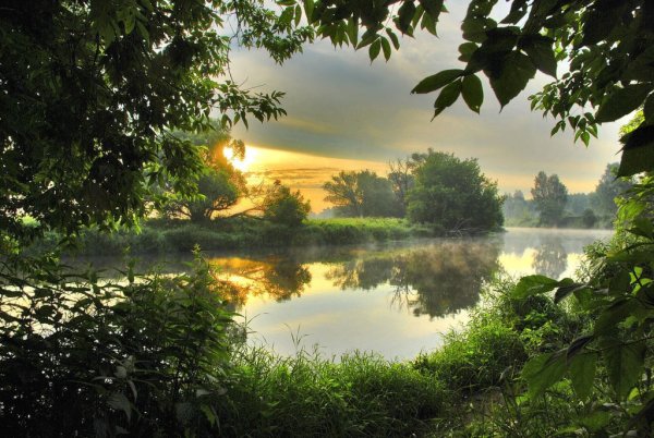 Лето июль природа