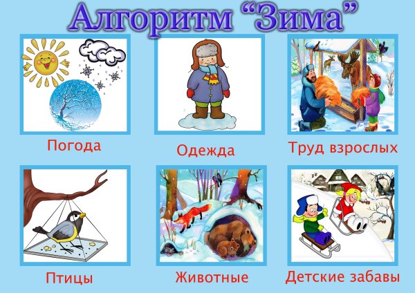 Алгоритм рассказа о деревьях для дошкольников