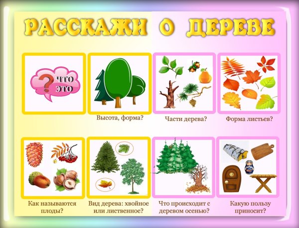 Картинки лето в ДОУ