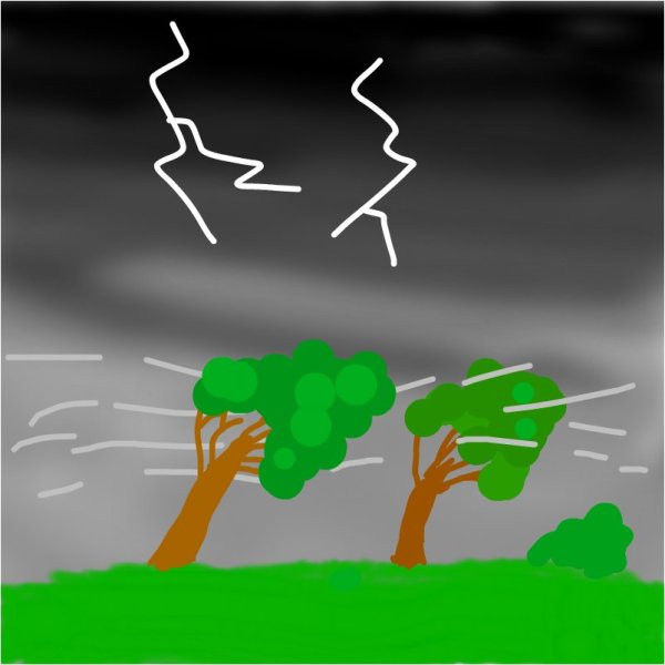 Гроза в лесу для детей