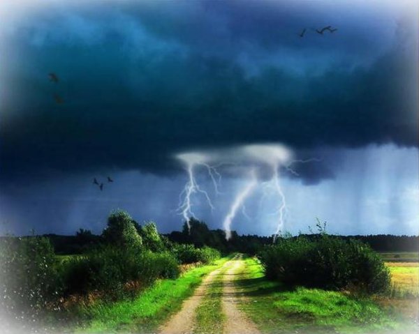 Ф Тютчев гроза