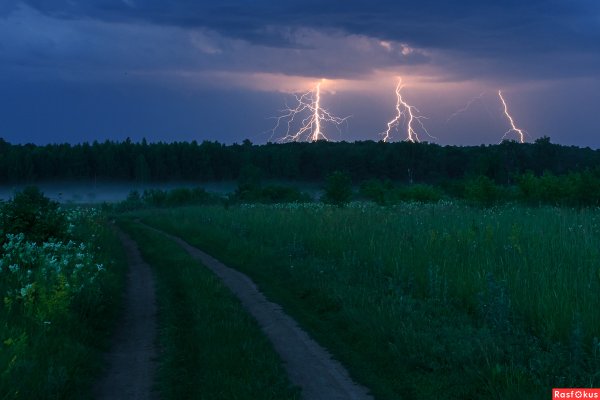 Гроза в лесу