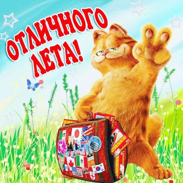С летом поздравления