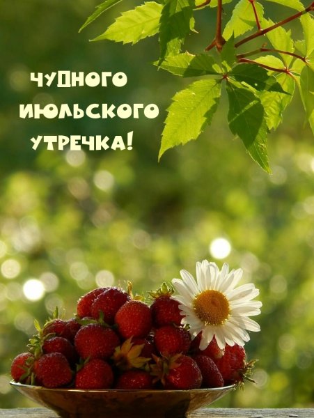 Доброе утро август