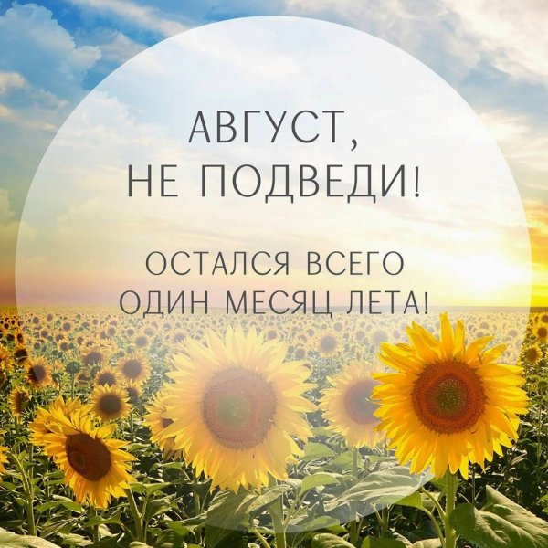 Прекрасного летнего денька