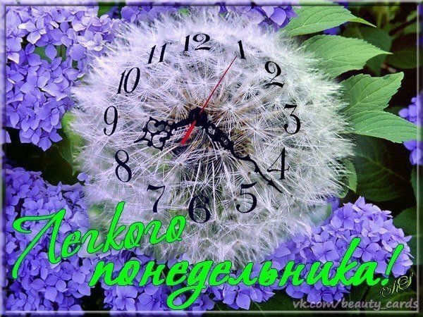 Летний день на даче