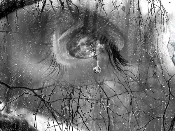 Глаз со слезой