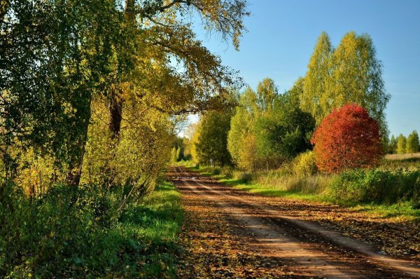Ранняя осень сентябрь