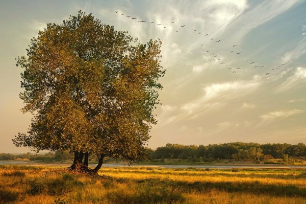 Конец августа природа